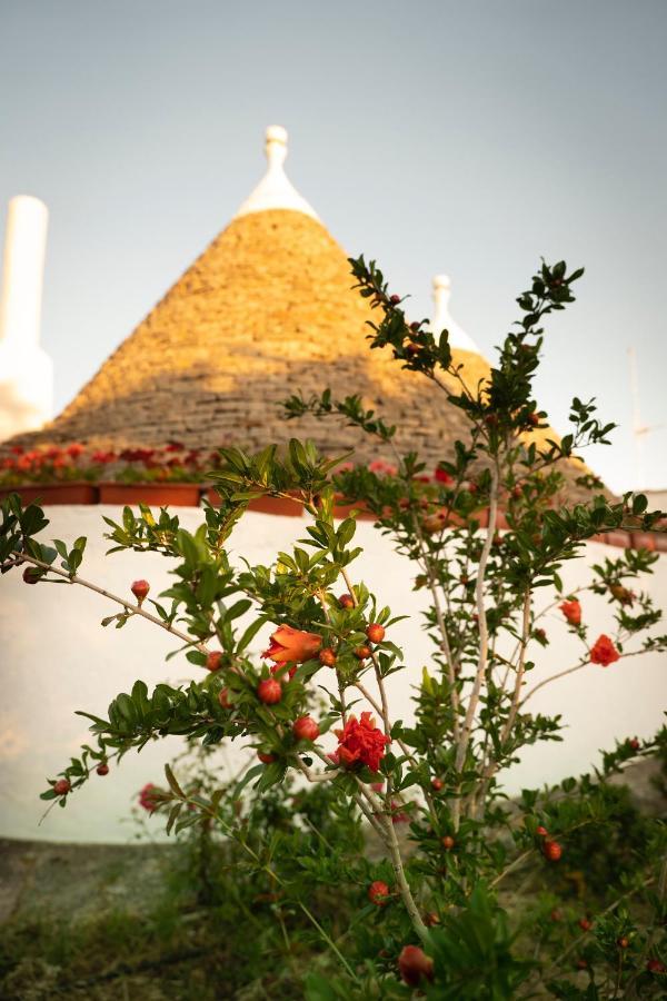 Trulli Ulivi Villa Putignano Exterior photo